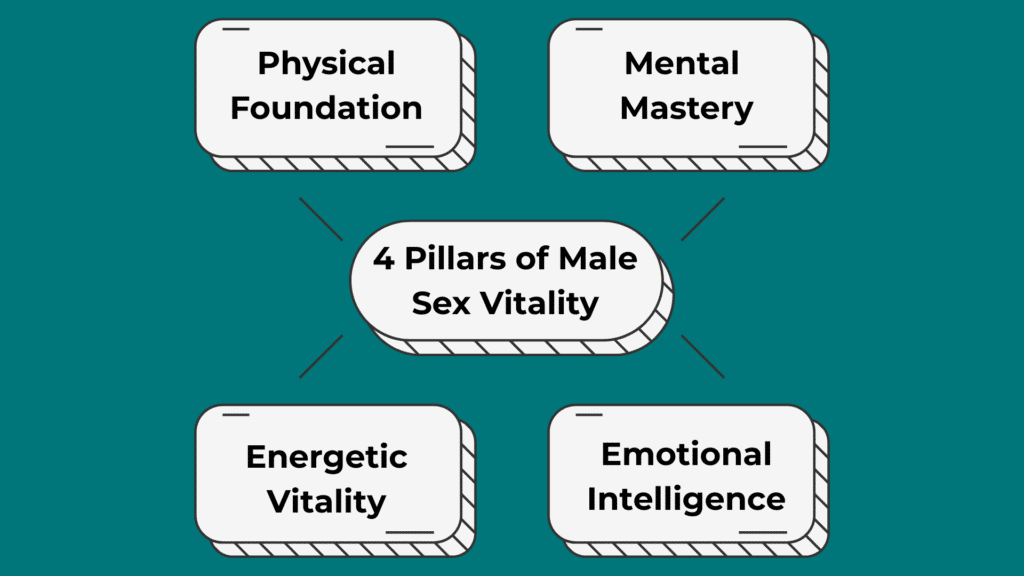 4 Pillars of Male Sexual Vitality