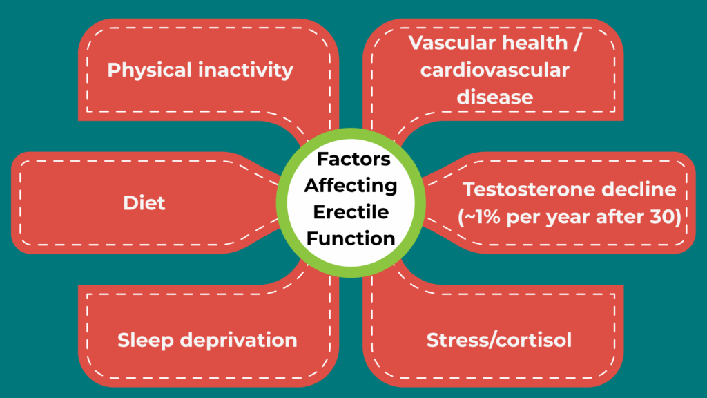 Factors Affecting Erectile Function After 40