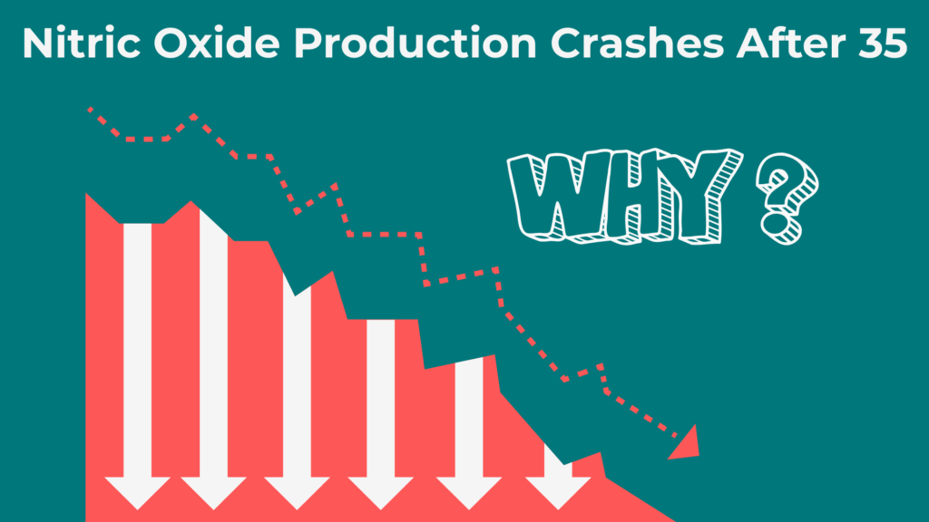 Nitric Oxide Production Crashes After 35