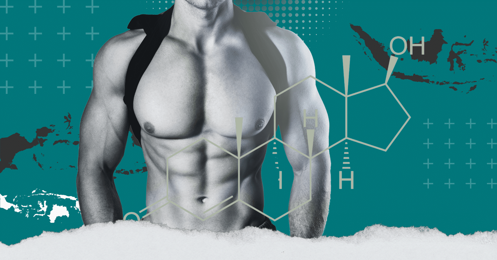 Testosterone Mastery 1