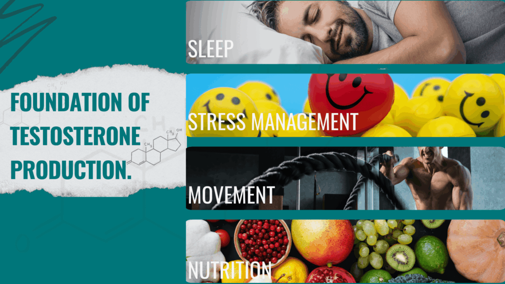 Infographic showing foundations of testosterone production: quality sleep, stress management, regular movement, and proper nutrition, key lifestyle habits to prevent testosterone decline, balance hormones, and reduce low T symptoms without or alongside TRT.