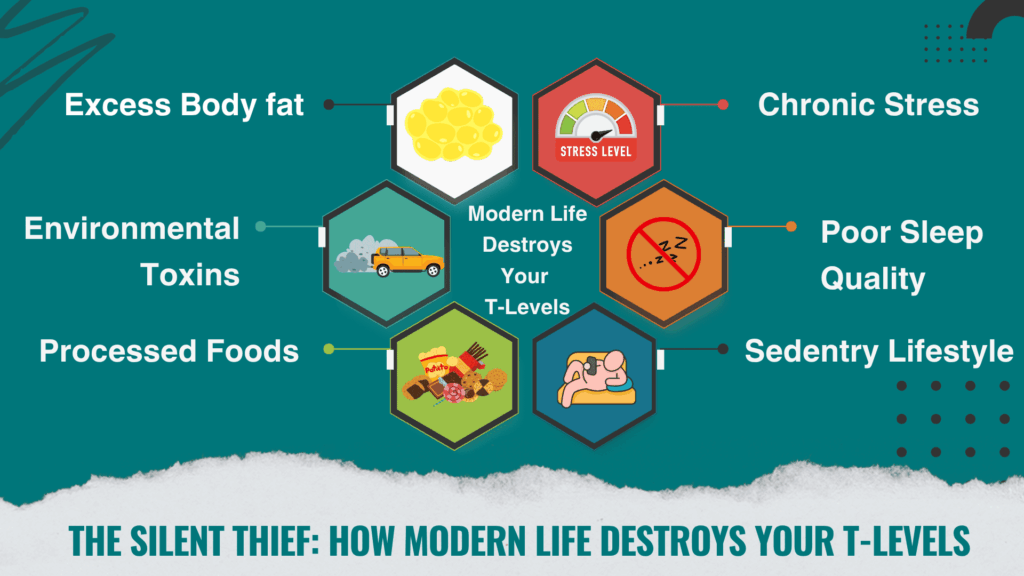 "Infographic showing causes of testosterone decline including excess body fat, chronic stress, poor sleep quality, sedentary lifestyle, processed foods, and environmental toxins—factors that disrupt hormone balance and contribute to low T symptoms, highlighting the need for TRT & testosterone Mastery"