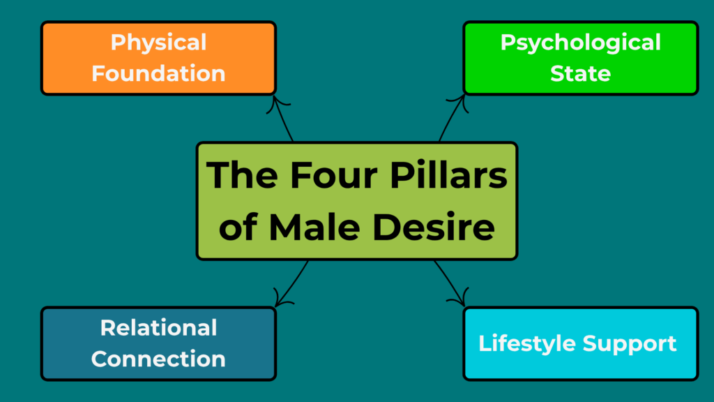 The Four Pillars of Male Desire - Libido