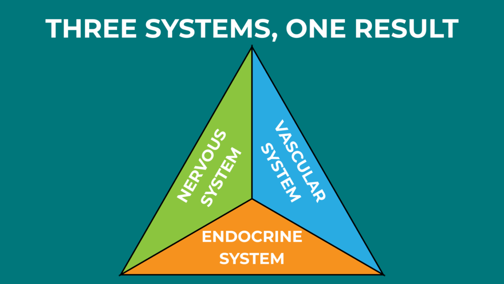 Three Systems One Result