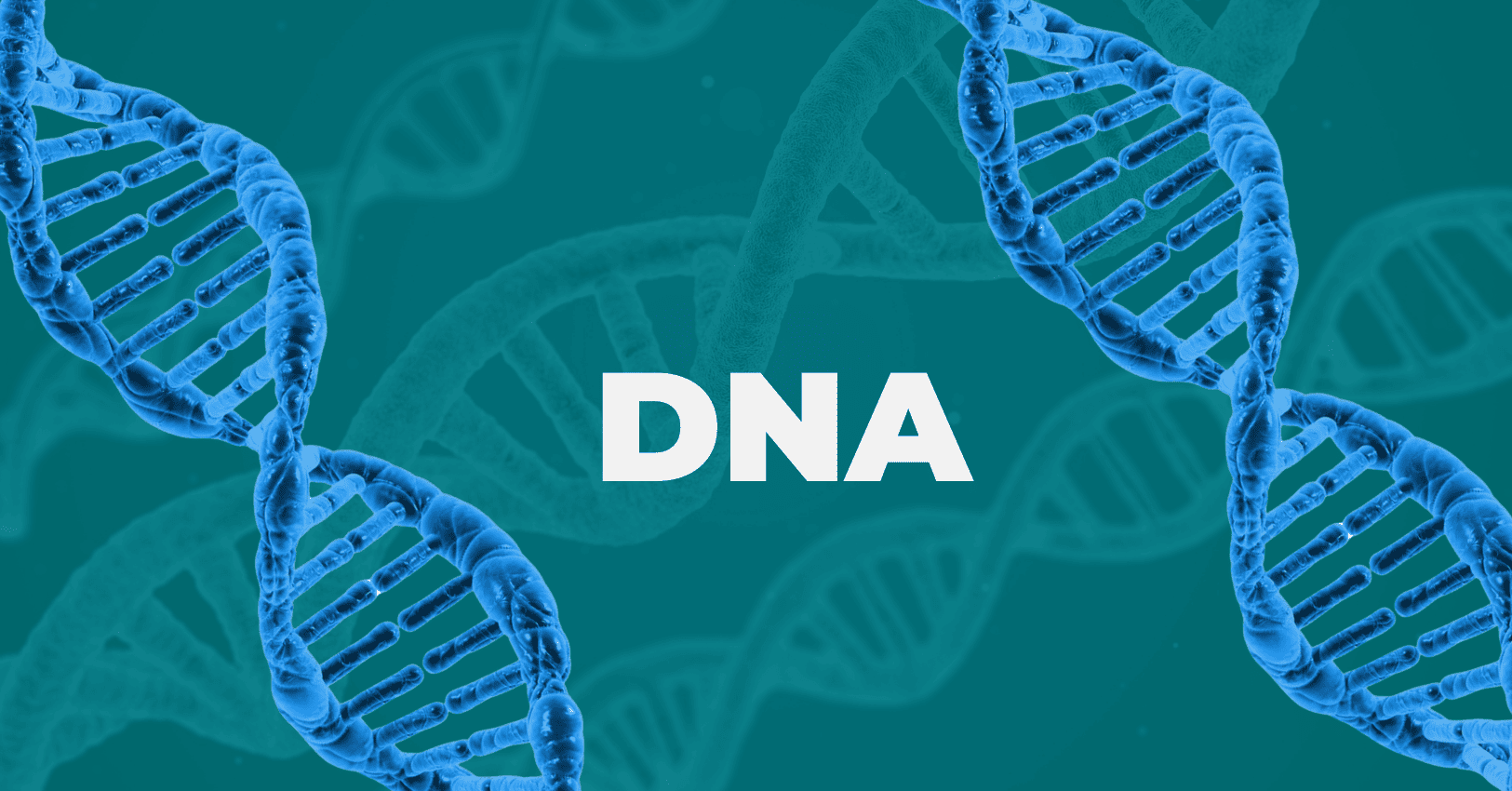 Biohacking by DNA What Your Genes Can and Cant Tell You About Health Performnce