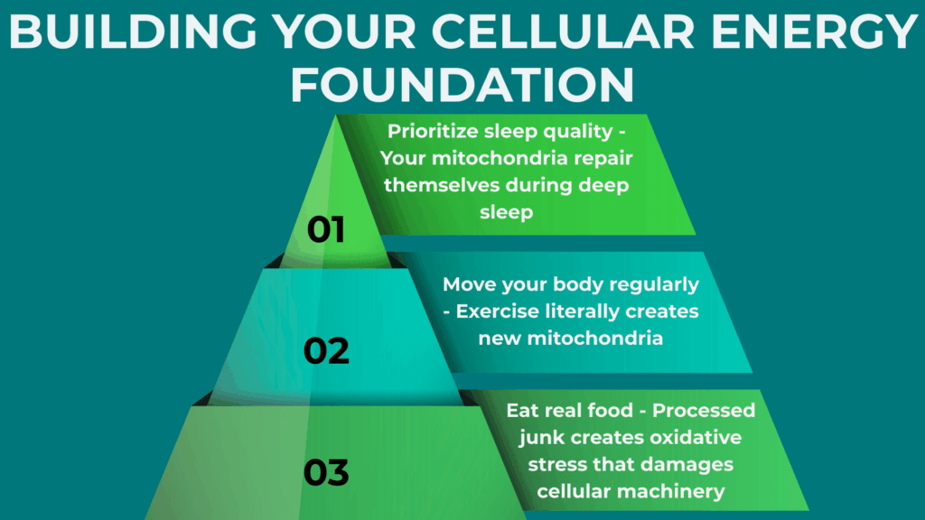 Building Your Cellular Energy Foundation