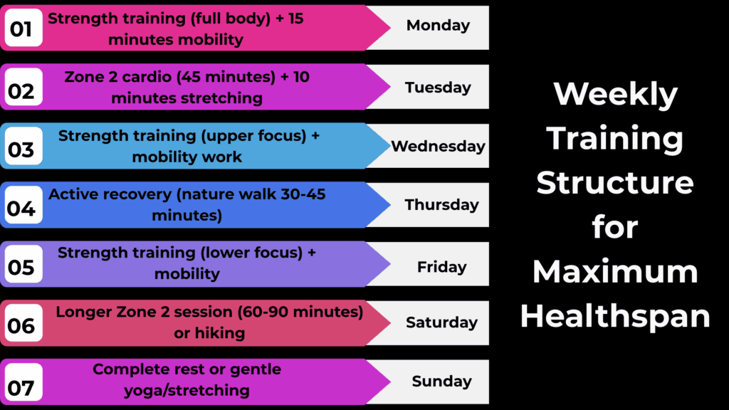 Weekly Training Structure for Maximum Healthspan