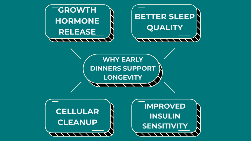 When to Eat Your Last Meal for Optimal Aging