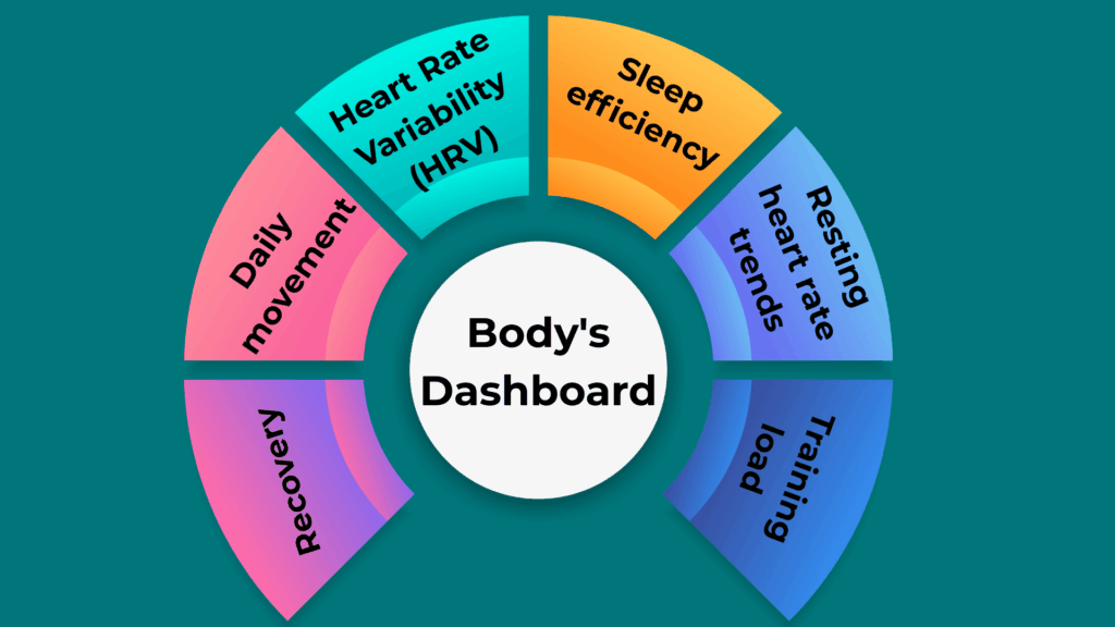 Your Bodys Dashboard Understanding the Key Metrics