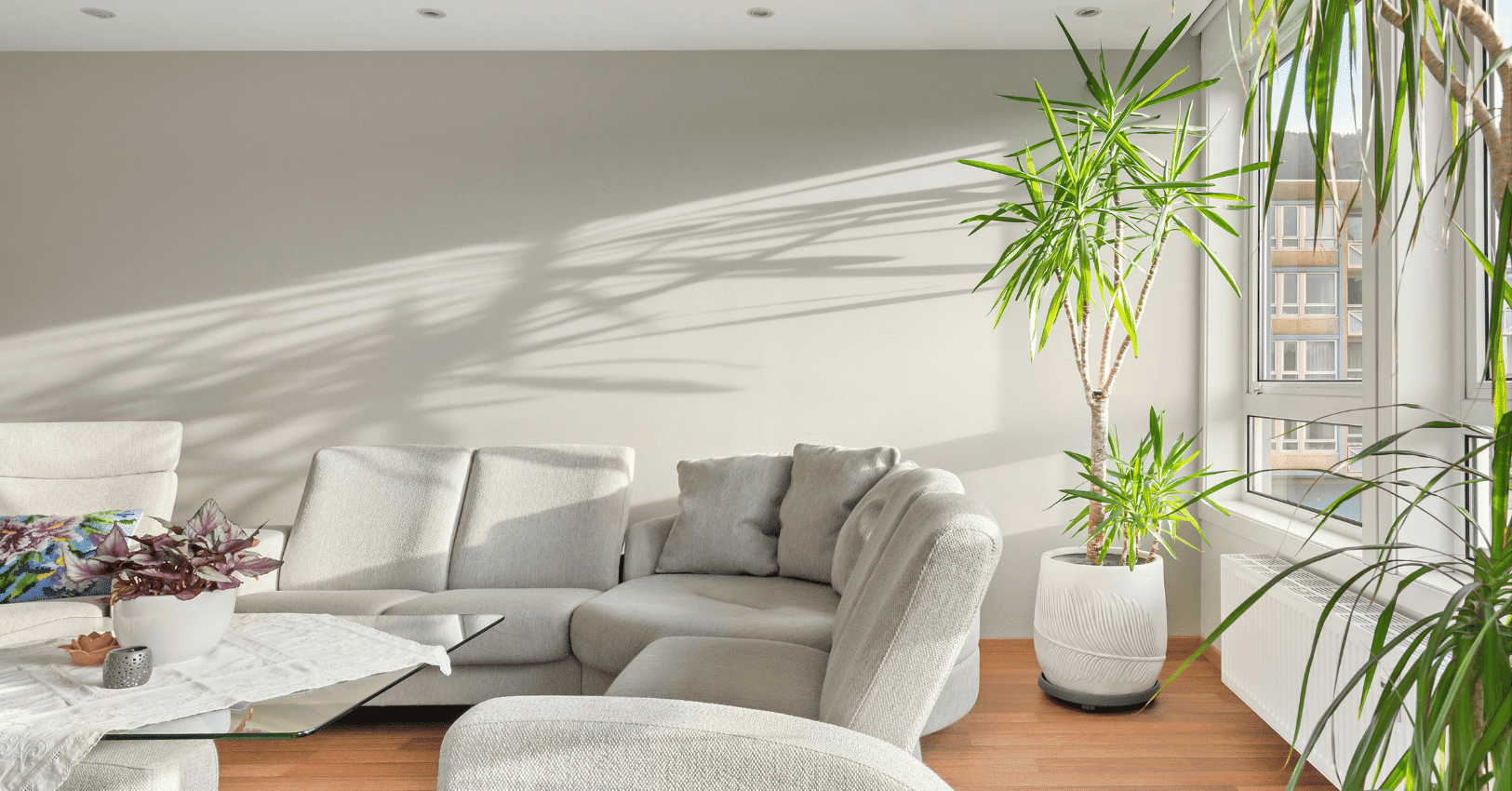 Your Environment Is Programming You How to Optimize Light Temperature Space for Peak Living