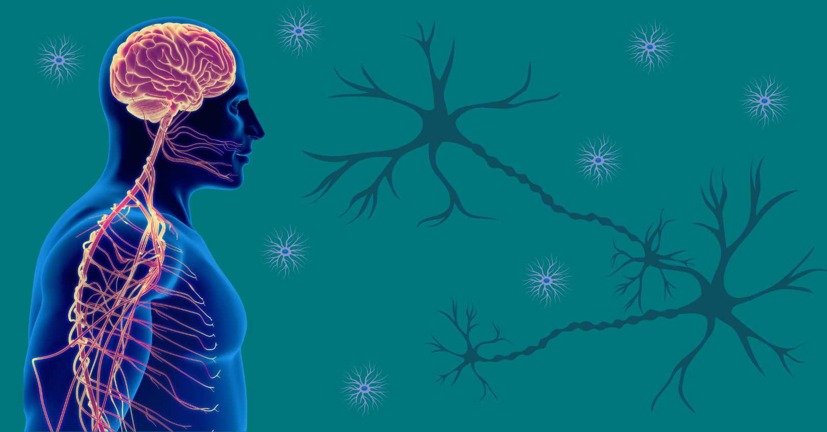 Built for Pressure How Men Can Train Their Nervous System to Handle Stress with Strength