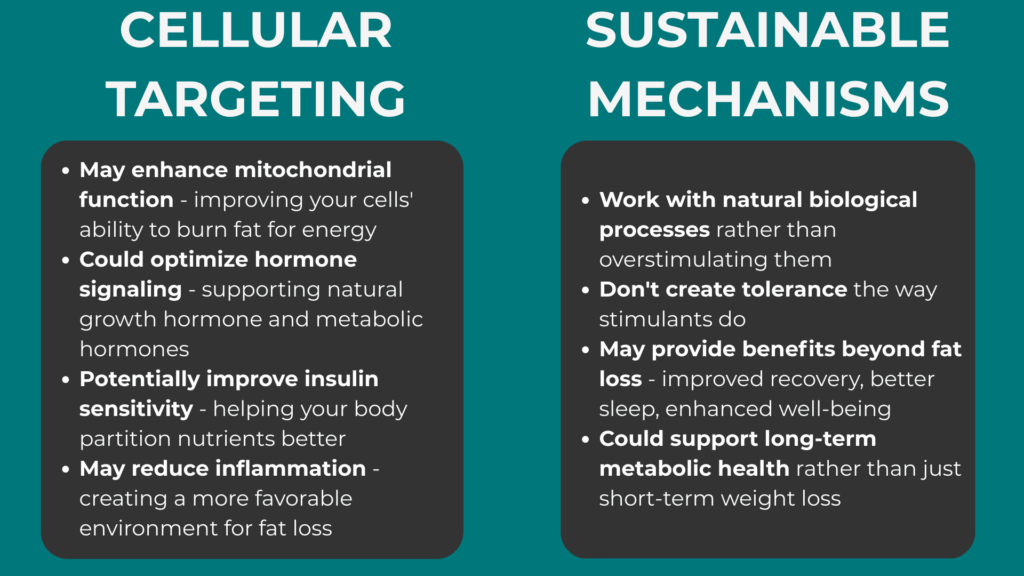 What Fat Loss Peptides Actually Are: -How They Work With Your Body, Not Against It