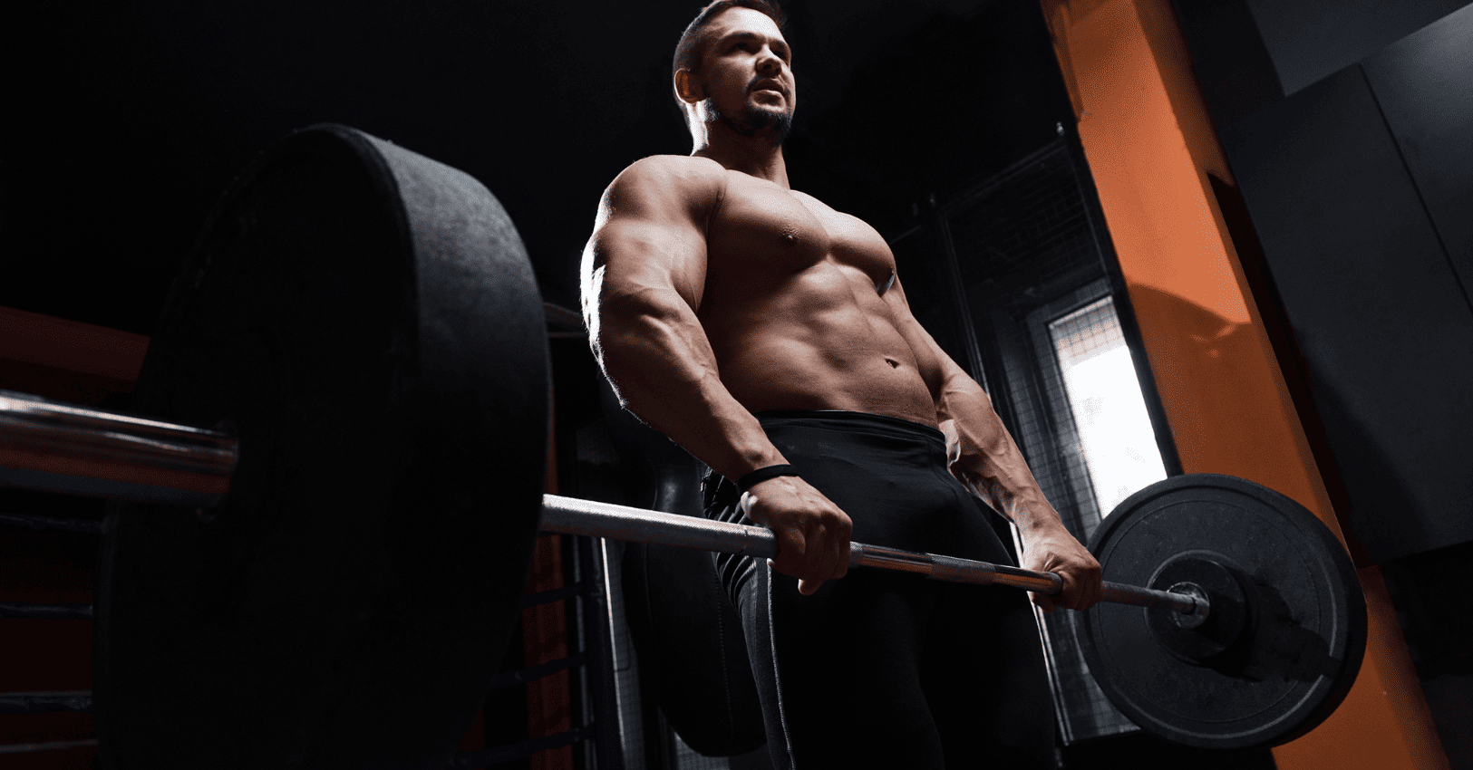 The High T Lifestyle How to Live in a Way That Supports Your Hormones Daily