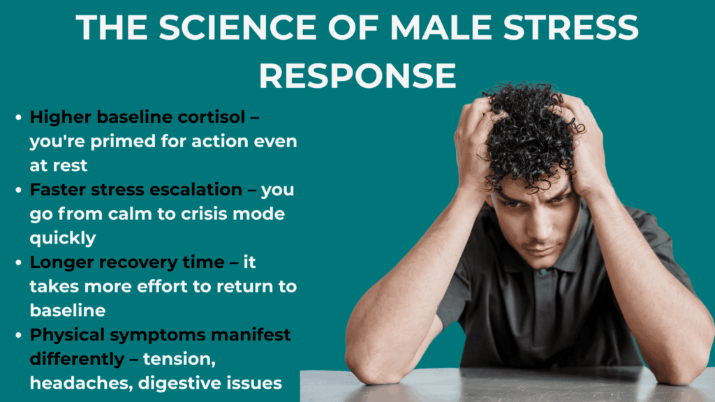 The Science of Male Stress Response