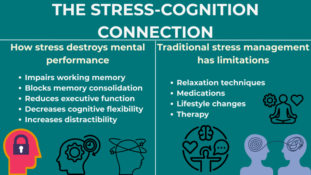 The Stress-Cognition Connection