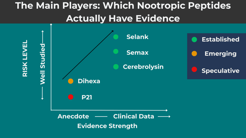 Semax: The Russian Cognitive Enhancer- Nootropic peptides