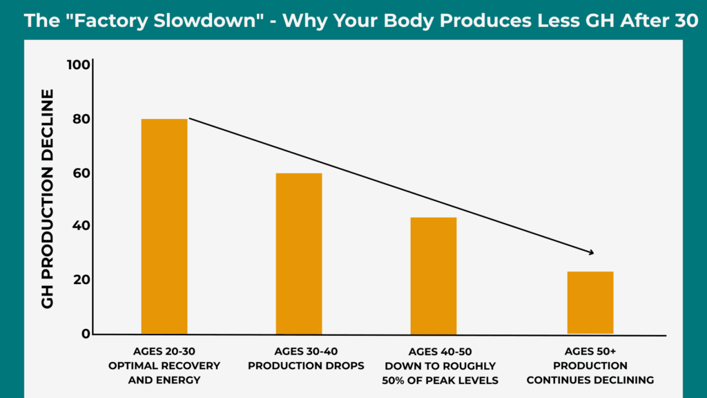 The "Factory Slowdown" - Why Your Body Produces Less Growth Hormone Peptides After 30