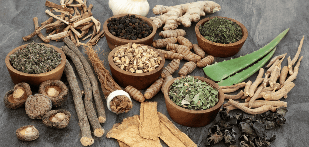 Adaptogens for Athletes Natural Support for High Performance