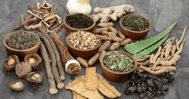 Adaptogens for Athletes Natural Support for High Performance