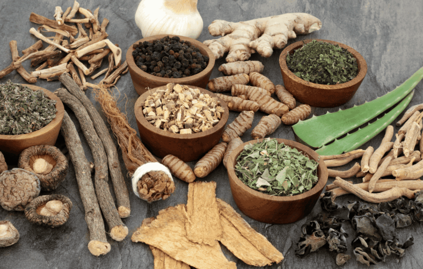 Adaptogens for Athletes Natural Support for High Performance