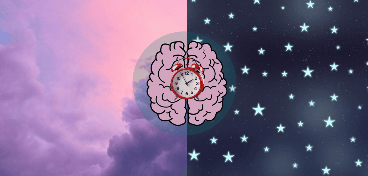 Chronotypes Explained How to Sync Your Energy With Your Internal Clock