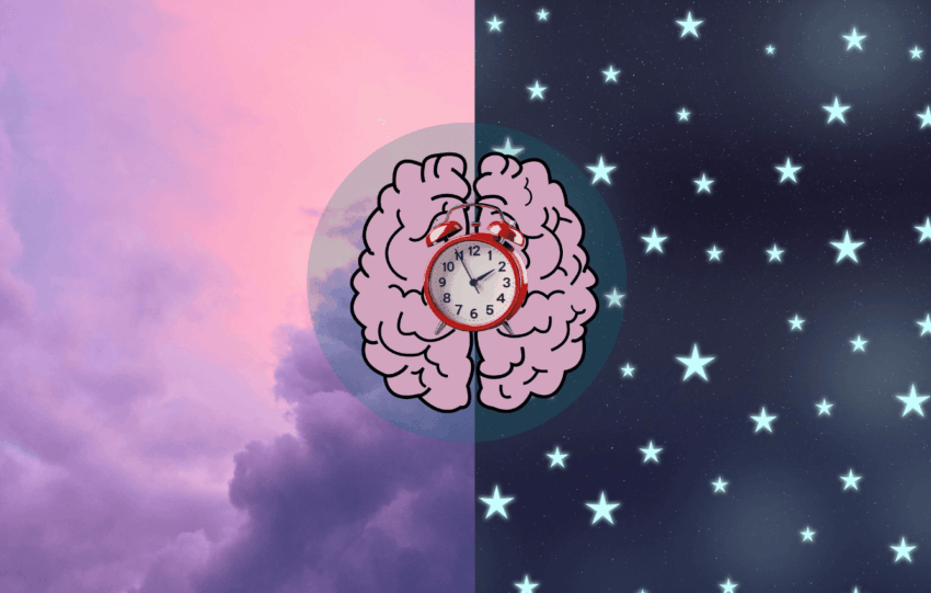 Chronotypes Explained How to Sync Your Energy With Your Internal Clock