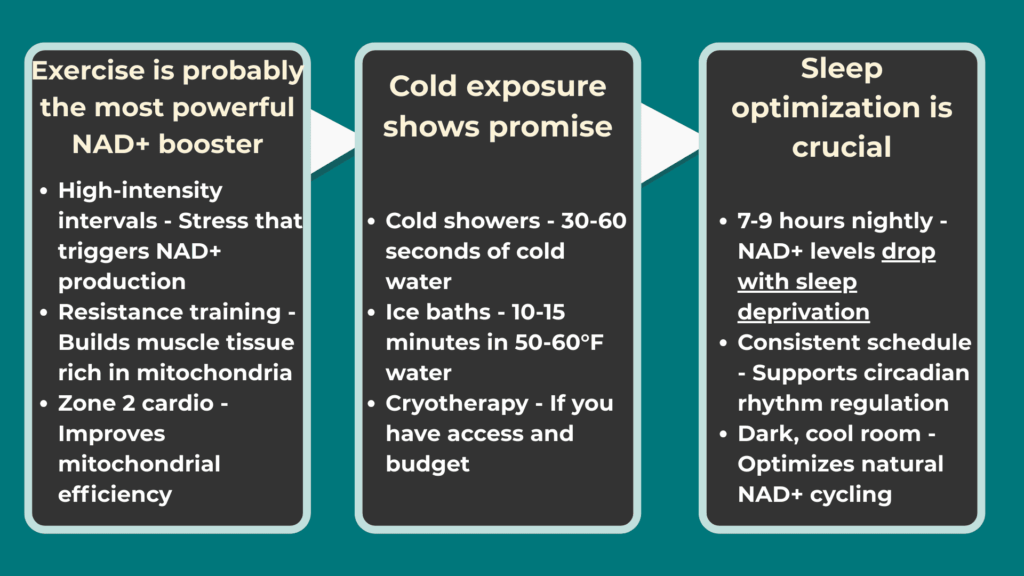 NAD - Lifestyle Factors That Actually Move the Needle