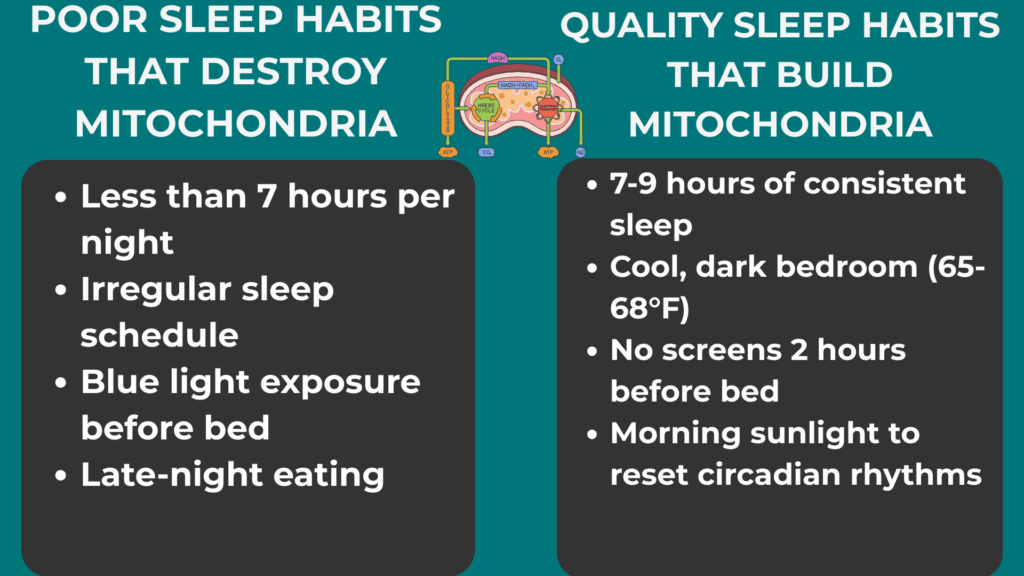 Sleep and Cellular Recovery