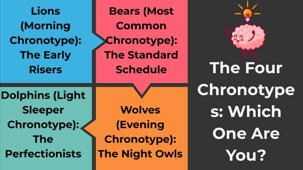 The Four Chronotypes: Which One Are You?
