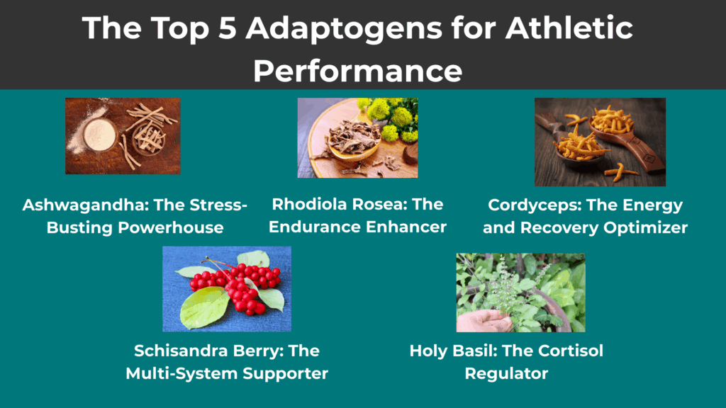 The Top 5 Adaptogens for Athletic Performance
